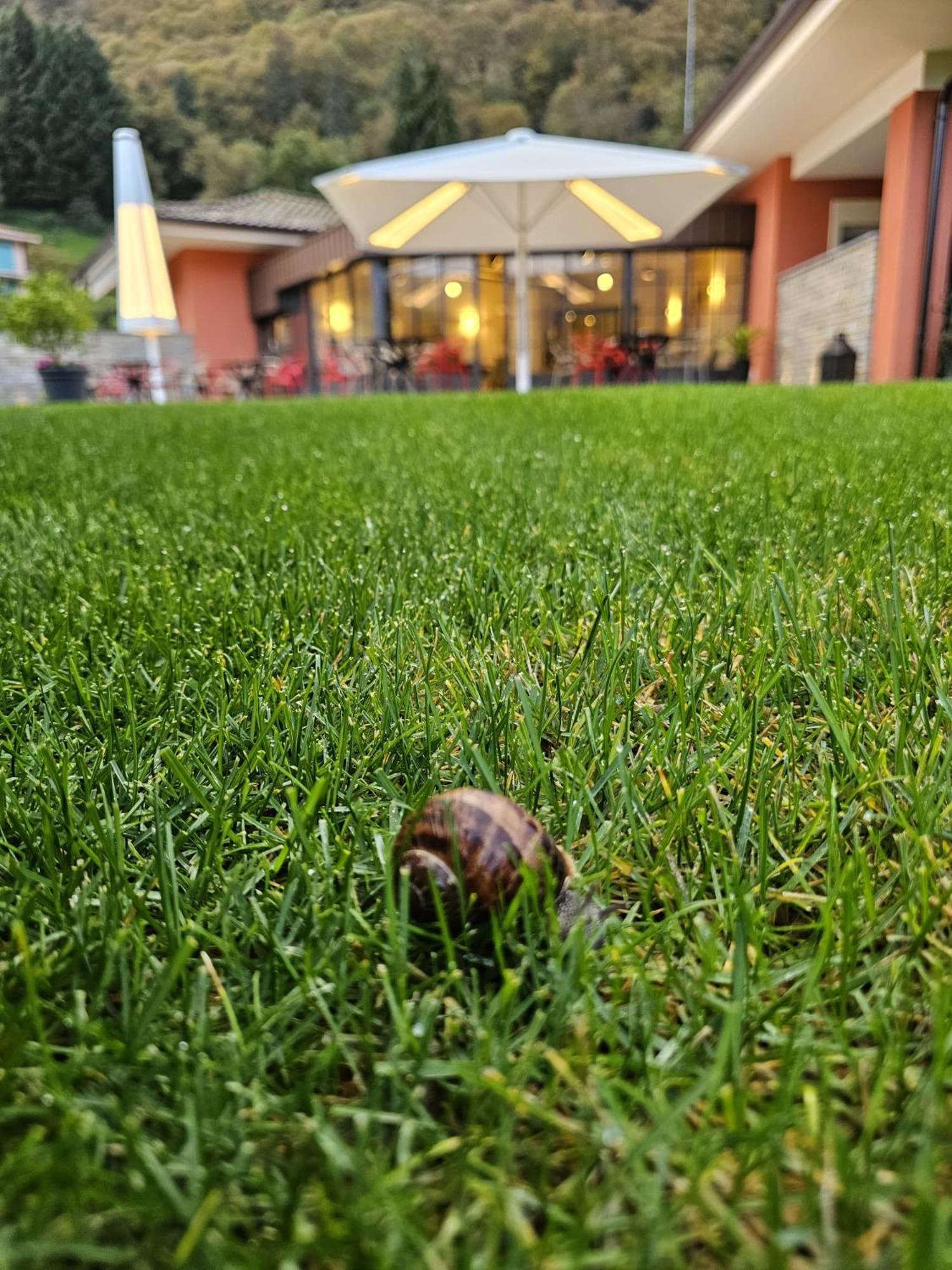 Hotel Villa Cuserina Каннобіо Екстер'єр фото
